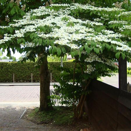 Logement-B&B Safier Joure Esterno foto